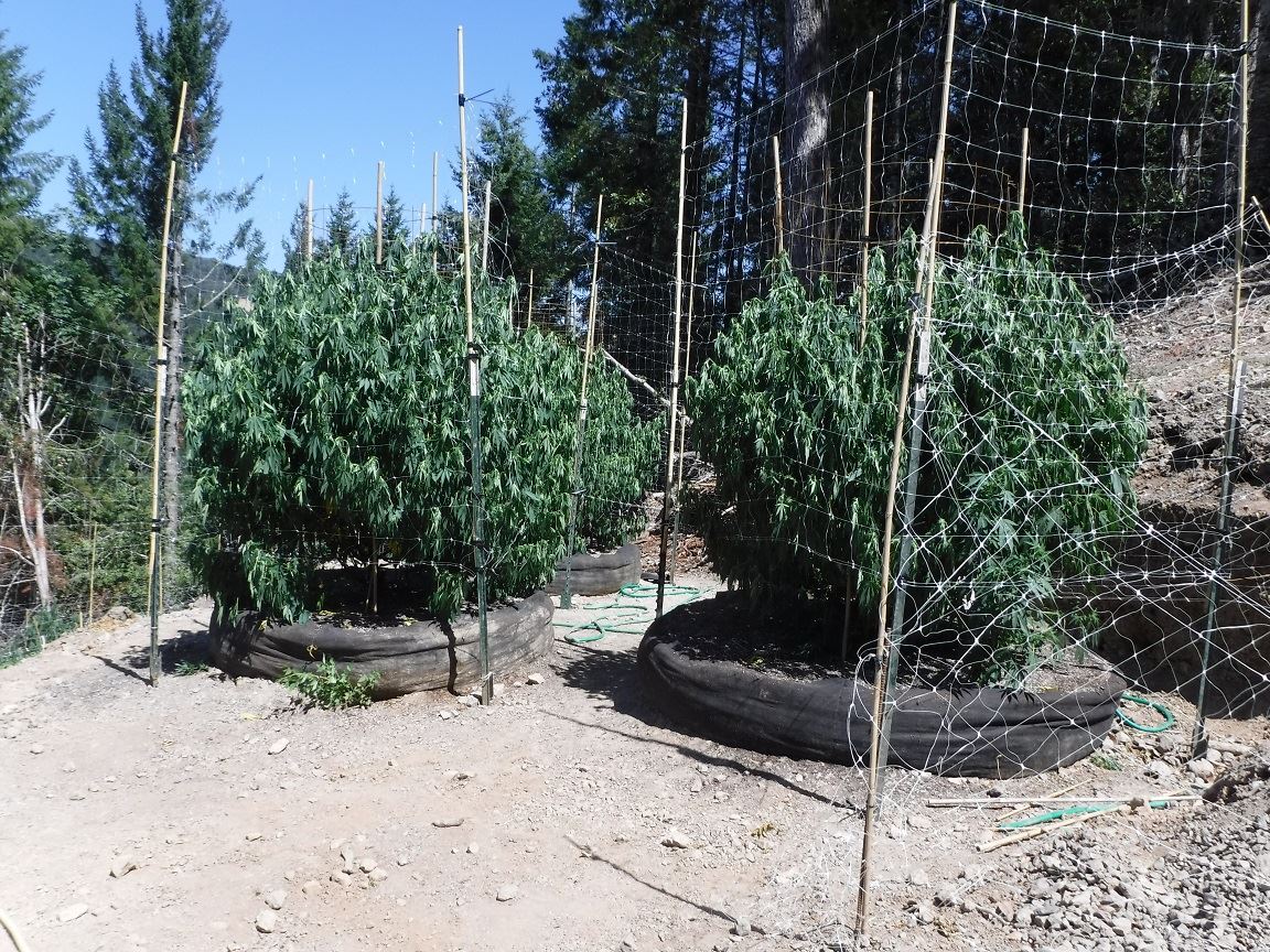 Search Warrant - Case 201603973